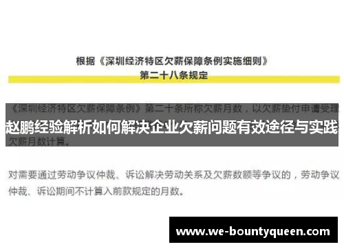 赵鹏经验解析如何解决企业欠薪问题有效途径与实践