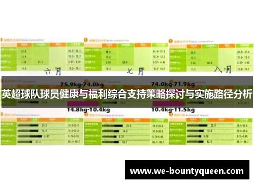 英超球队球员健康与福利综合支持策略探讨与实施路径分析