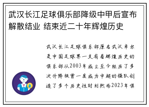 武汉长江足球俱乐部降级中甲后宣布解散结业 结束近二十年辉煌历史 武汉长江足球俱乐部降级中甲后宣布解散结业 结束近二十年辉煌历史